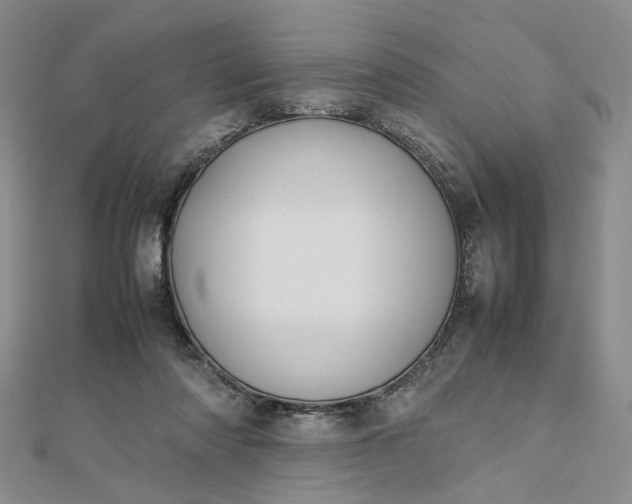 X0000112750310200909031532