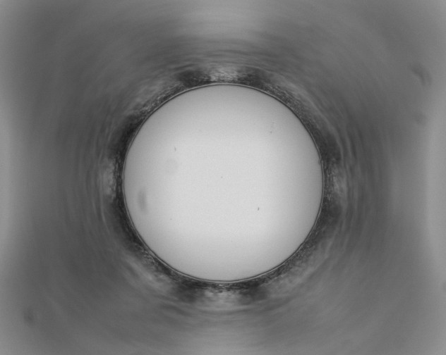 X0000112750311200909031532