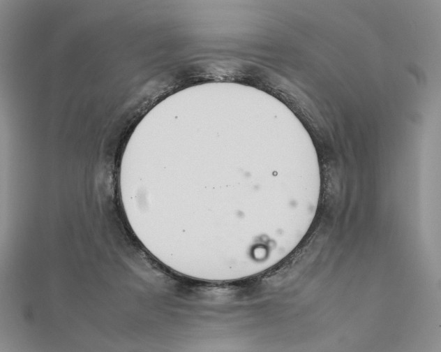 X0000112750313200909031532