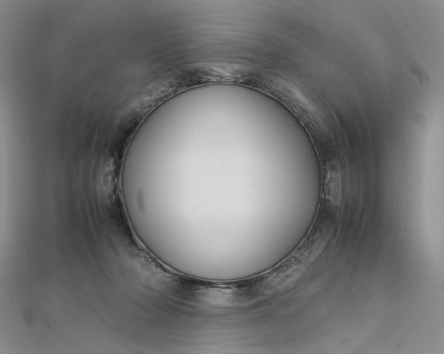 X0000112750318200909031532