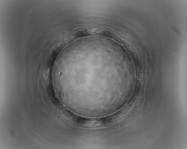 X0000112750319200909031532