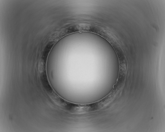 X0000112750323200909031532