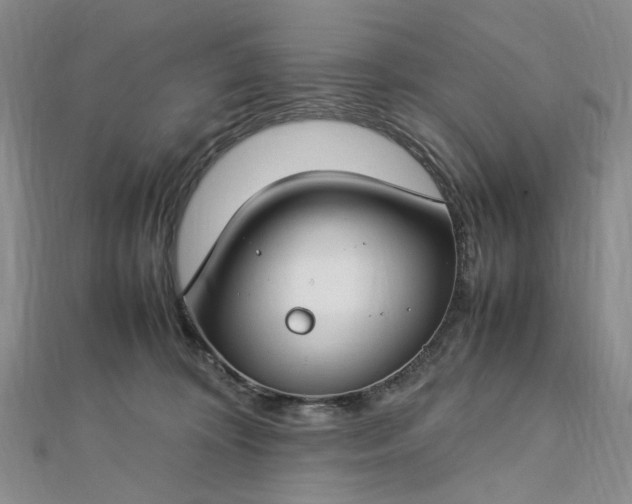 X0000112750324200909031532