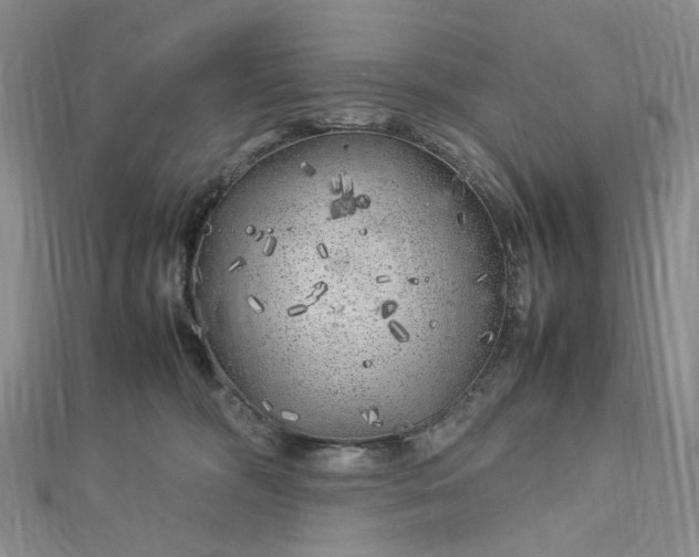 X0000112750326200909031532