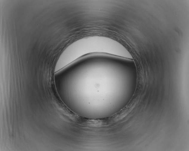 X0000112750328200909031532