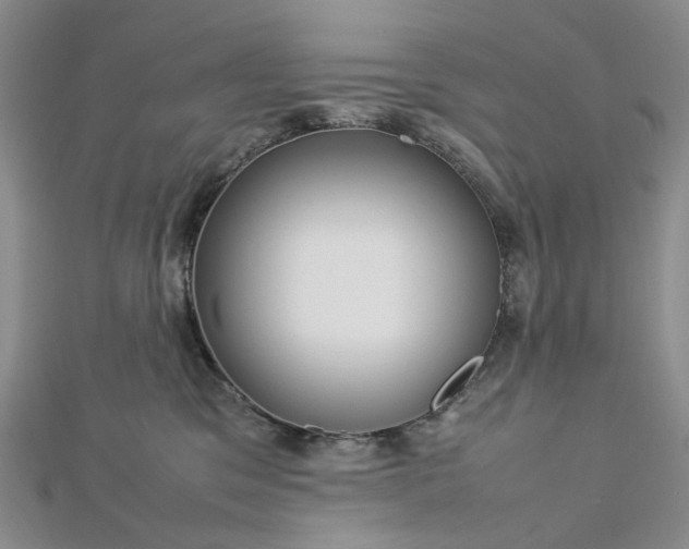 X0000112750329200909031532