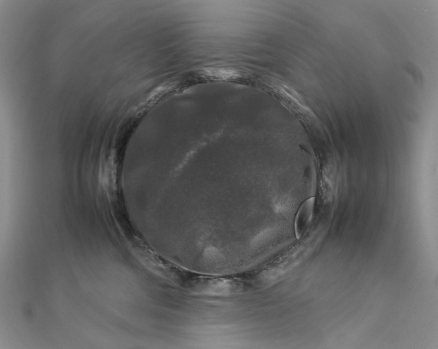 X0000112750330200909031532