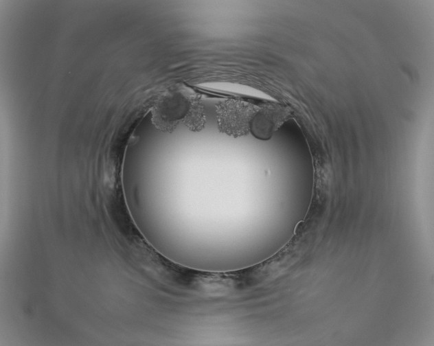 X0000112750331200909031532