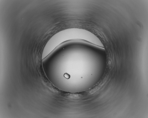 X0000112750332200909031532