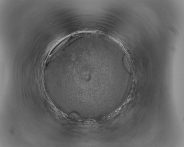 X0000112750337200909031531