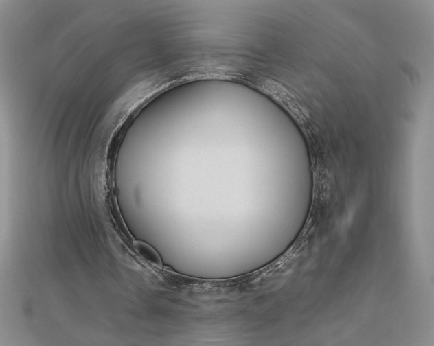 X0000112750338200909031531