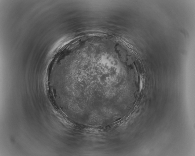 X0000112750339200909031531