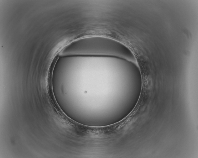 X0000112750340200909031531