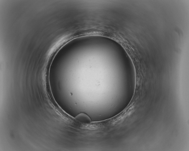 X0000112750341200909031531