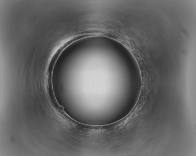 X0000112750342200909031531