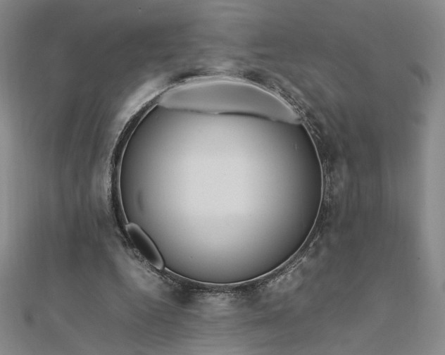 X0000112750344200909031531