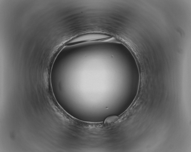 X0000112750345200909031531