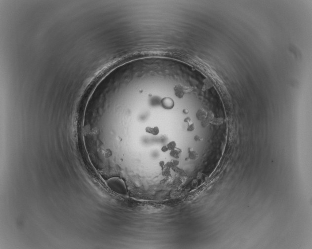 X0000112750346200909031531