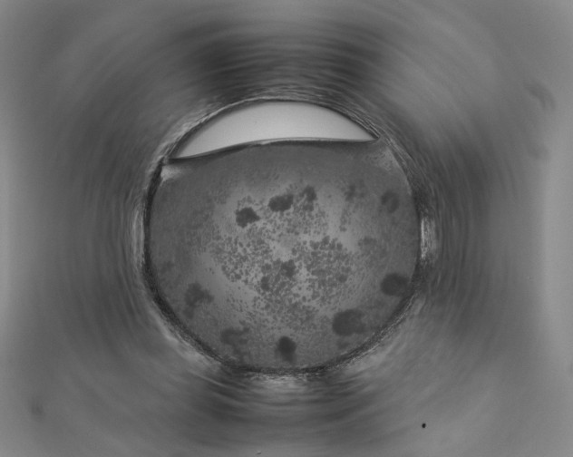 X0000112750349200909031531