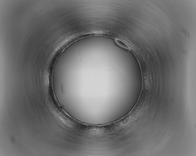 X0000112750350200909031531