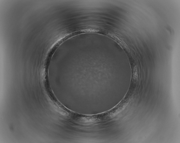 X0000112750351200909031531