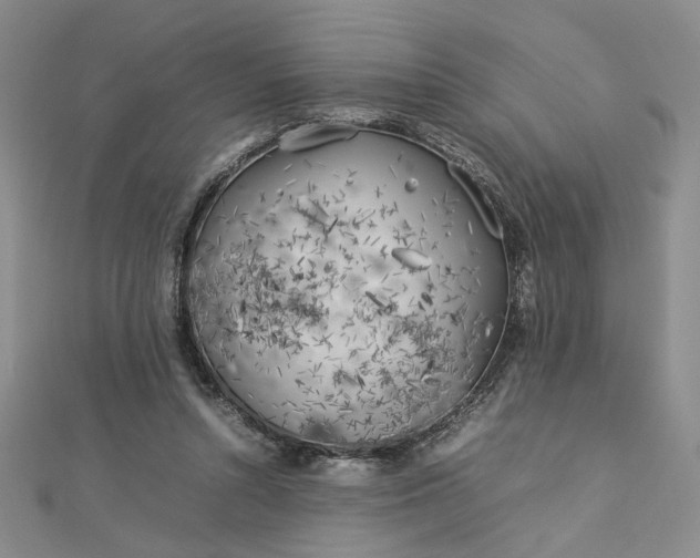 X0000112750352200909031531