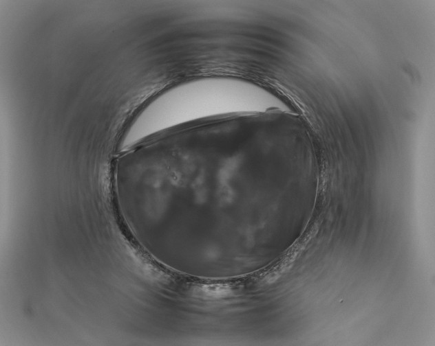 X0000112750353200909031531