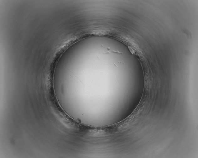 X0000112750354200909031531