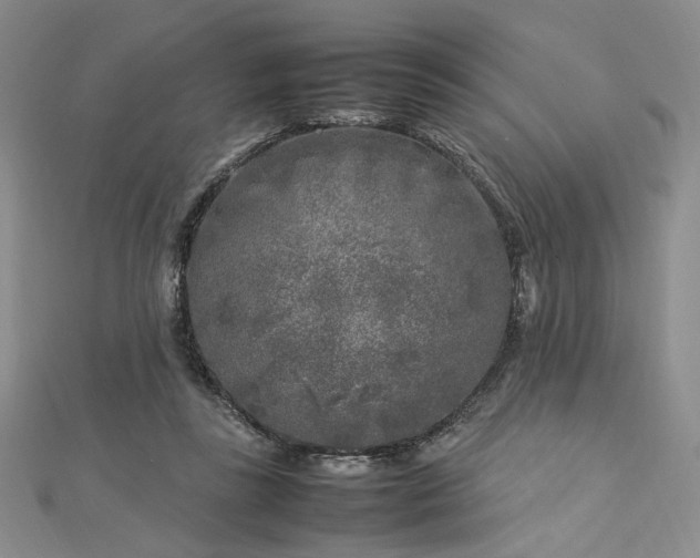 X0000112750355200909031531