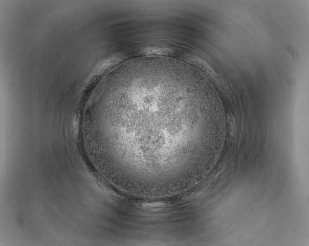 X0000112750357200909031531