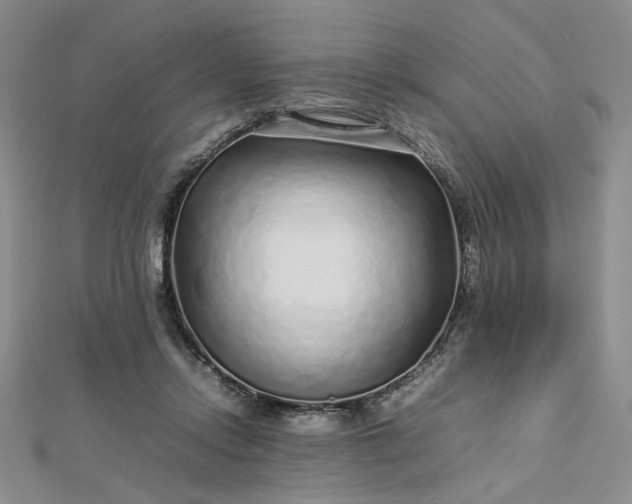 X0000112750358200909031531