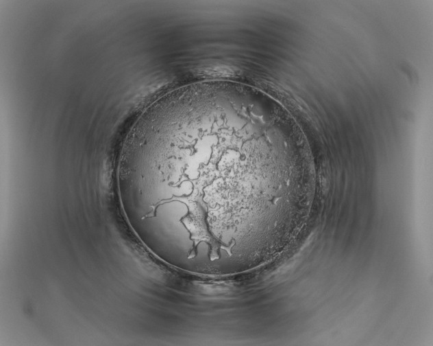 X0000112750359200909031531