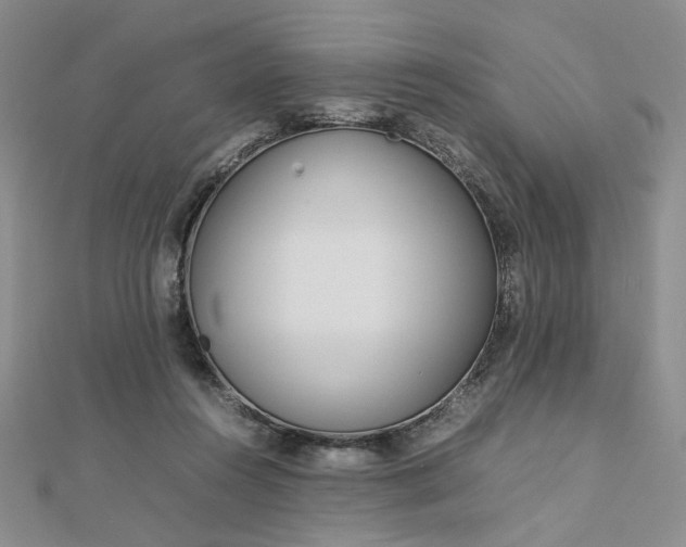 X0000112750360200909031532