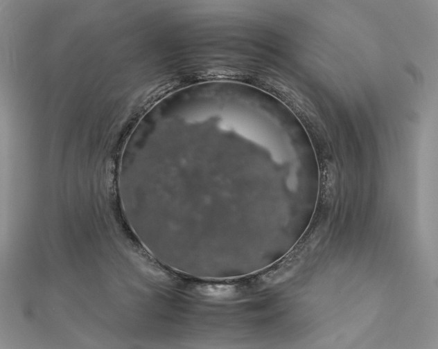 X0000112750361200909031532