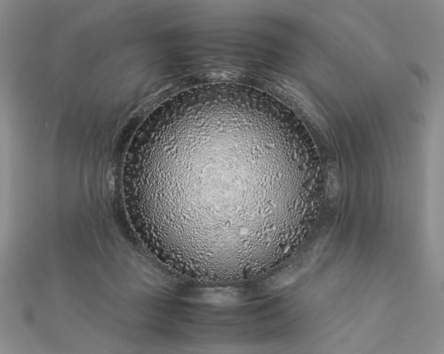 X0000112750363200909031532