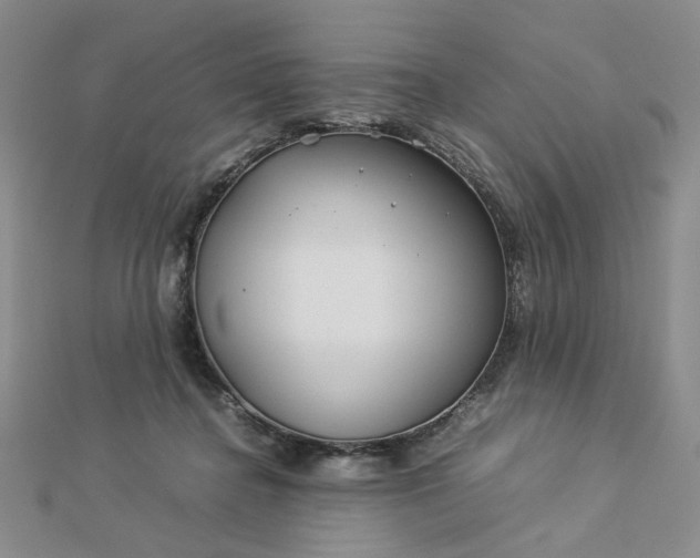 X0000112750364200909031532