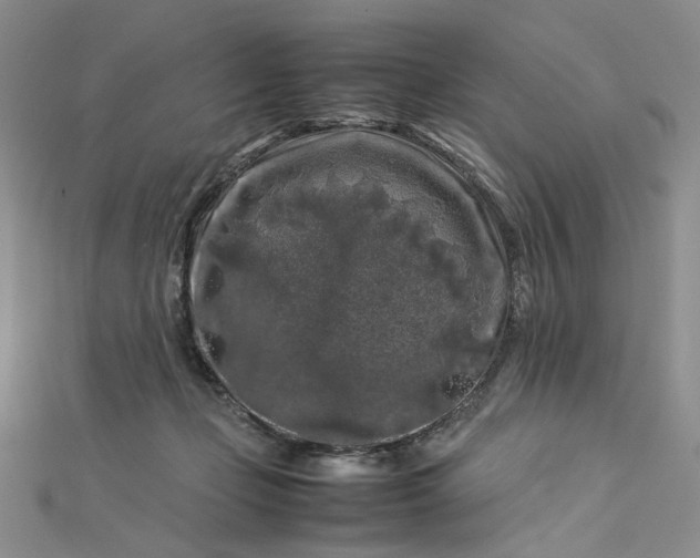 X0000112750365200909031532