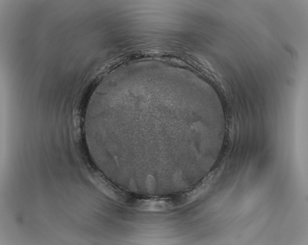 X0000112750366200909031532