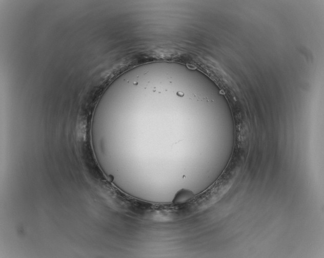 X0000112750368200909031532