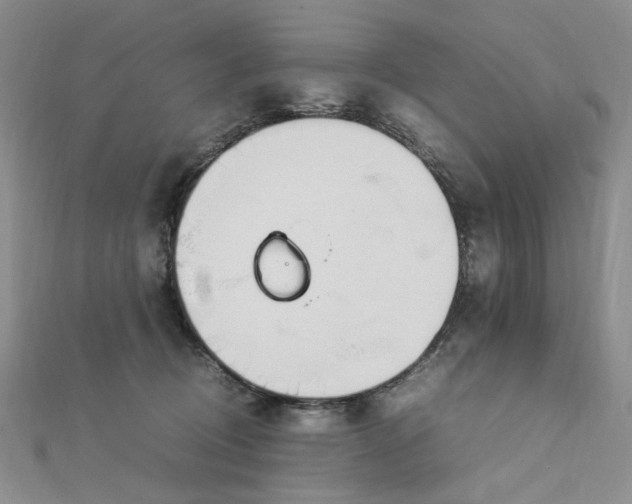 X0000112750370200909031532