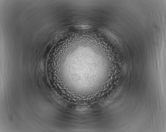 X0000112750373200909031532