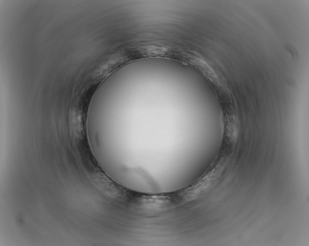 X0000112750378200909031532