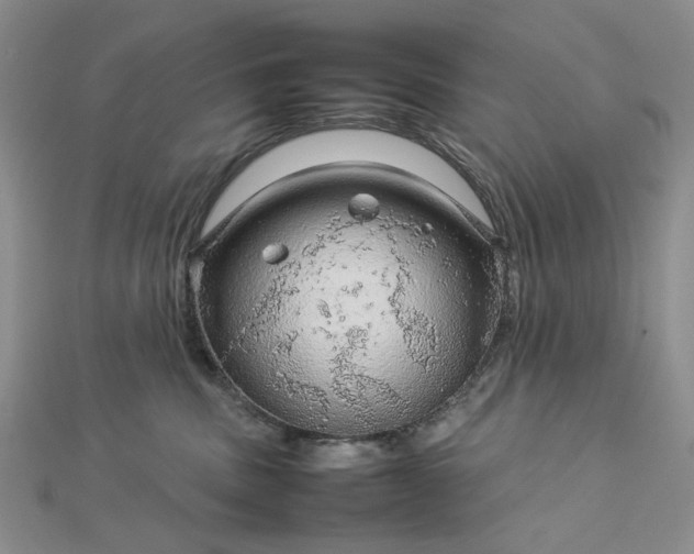 X0000112750379200909031532