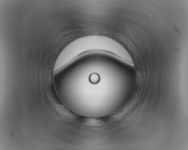 X0000112750380200909031532