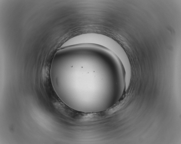 X0000112750382200909031532