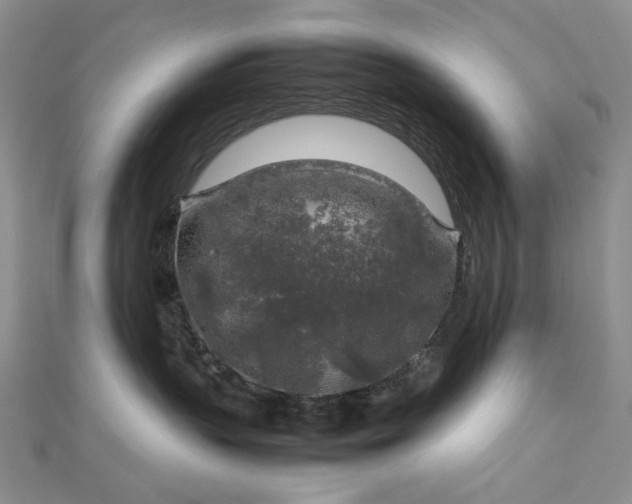 X0000112750383200909031532