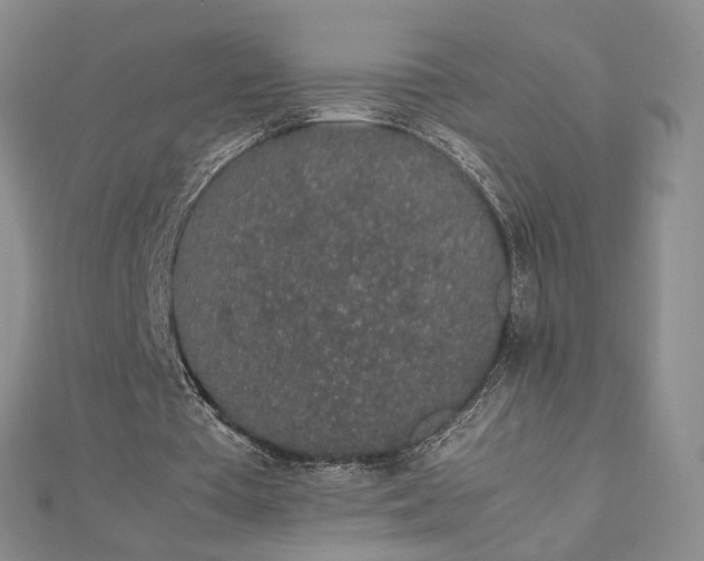 X0000112750385200909031531