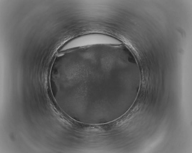 X0000112750386200909031531