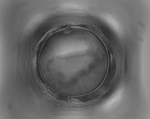 X0000112750387200909031531