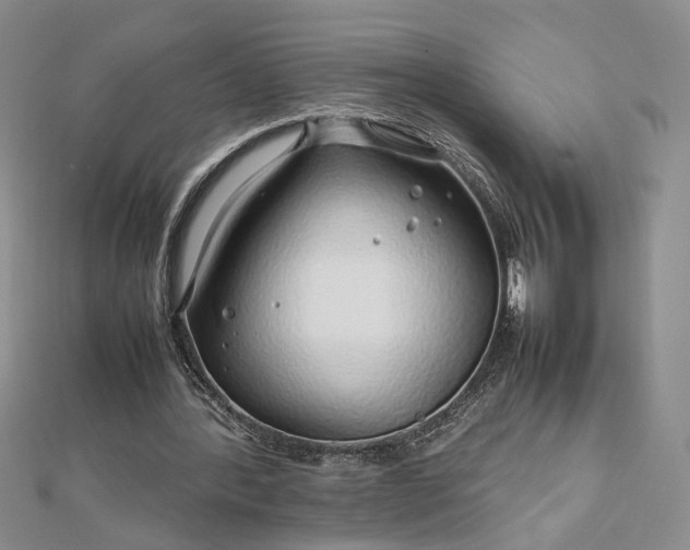 X0000112750388200909031531